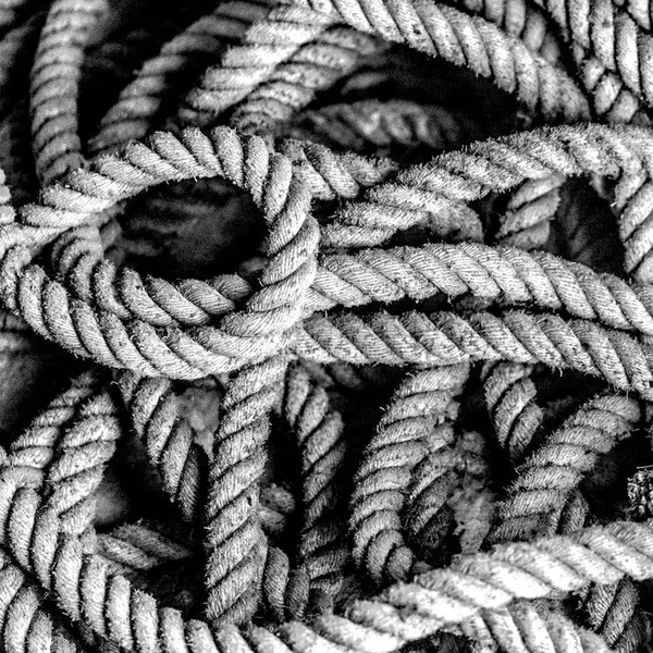 Cattle Neck Rope